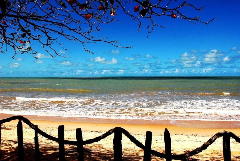 Vila Paraiso Da Falesia Em Cumuruxatiba Com Vista Excepcional Para O Mar Exteriér fotografie
